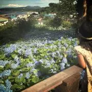すずかかの画像