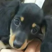 メルモ