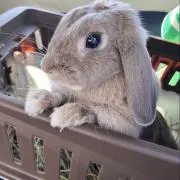 まさ