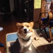 m.sの画像