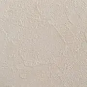 PIPI.の画像