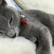 ユカリンの画像
