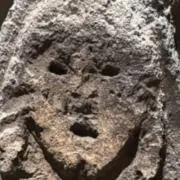 まき