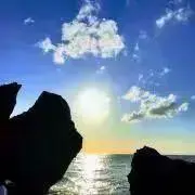 みーの画像