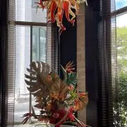 graceの画像