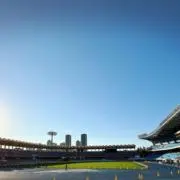 新米ランナーの画像