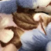 ワタガシ