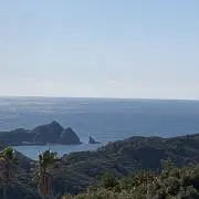 コトブキの画像