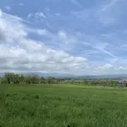 ふるふるの画像