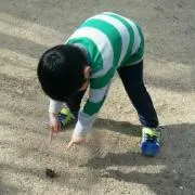 ようこの画像