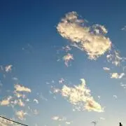 りん