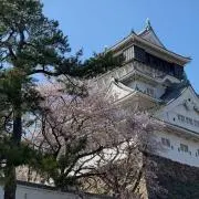 ナオキチの画像