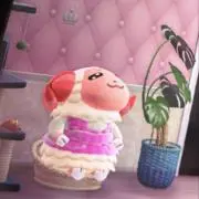 ゆゆの画像