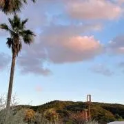 riの画像