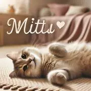 mittu【即購入OK☑】の画像