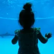 まゆ