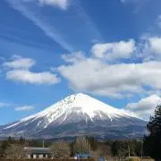 ミント