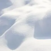 杏仁豆腐の画像