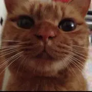 \♡/