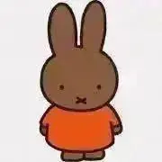 cheの画像