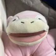 アイヌ犬の画像
