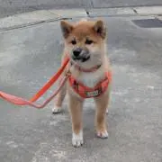 JMの画像