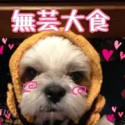たぬみ  ⭐︎プロフ一読お願いします⭐︎の画像
