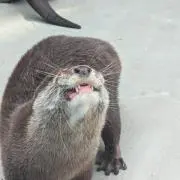 そうくうの画像
