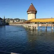 ネコのケニーの画像