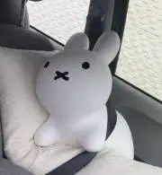 【断捨離中】paddyの画像