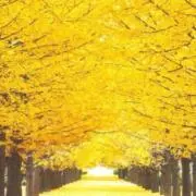 ※値下げ不可_プロフ必読の画像
