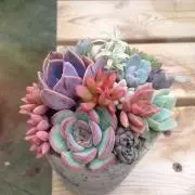 はらぺこ