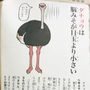 ちゃいの画像
