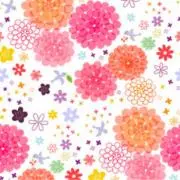 rilacocoの画像