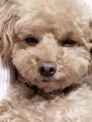 R♡の画像