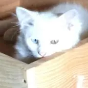 can☆プロフィールは必ず読んで下さい。