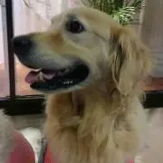 ラウル