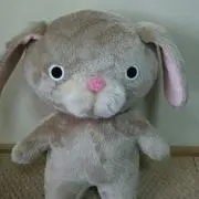 さくら