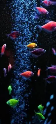 タナカ ユウキの画像