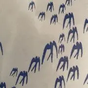 haco.の画像