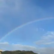 ハルの画像