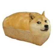イッヌ好き