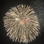 りまの画像