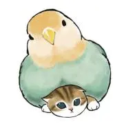 こうちゃんの画像