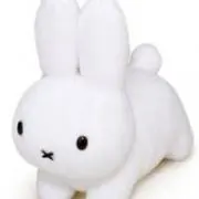 しろたまこの画像
