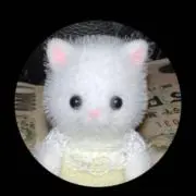 メッセージ不要の画像