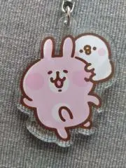 ぴすけの画像