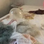 メゾンの画像