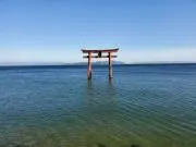 mumuの画像