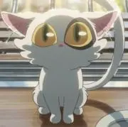 フルーツジュースの画像
